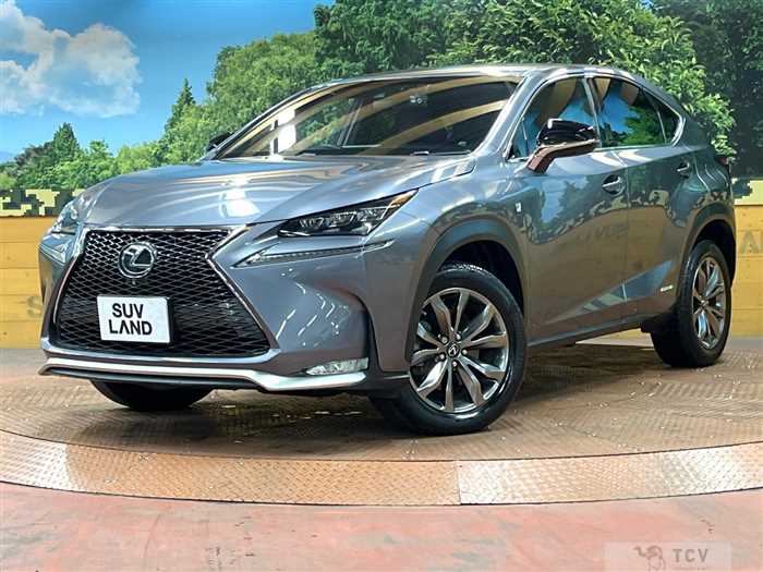 2015 Lexus NX