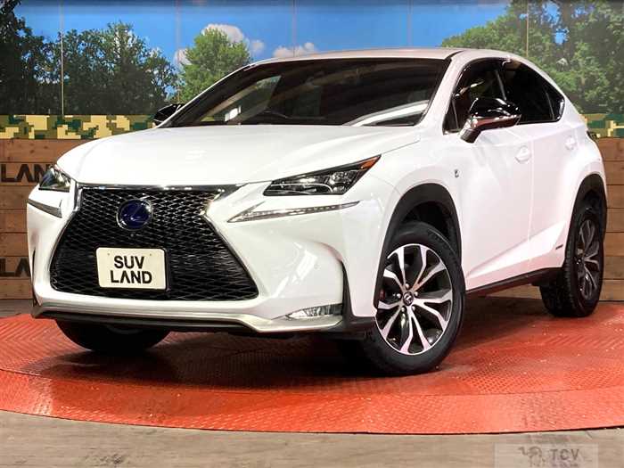 2015 Lexus NX