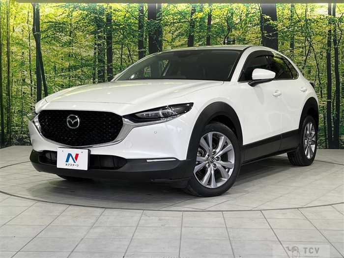 2019 Mazda Mazda Others