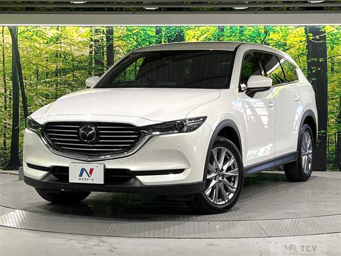 2019 Mazda CX-8