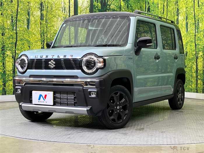 2024 Suzuki Hustler