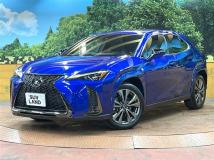 2018 Lexus Other