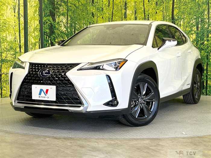 2019 Lexus Other