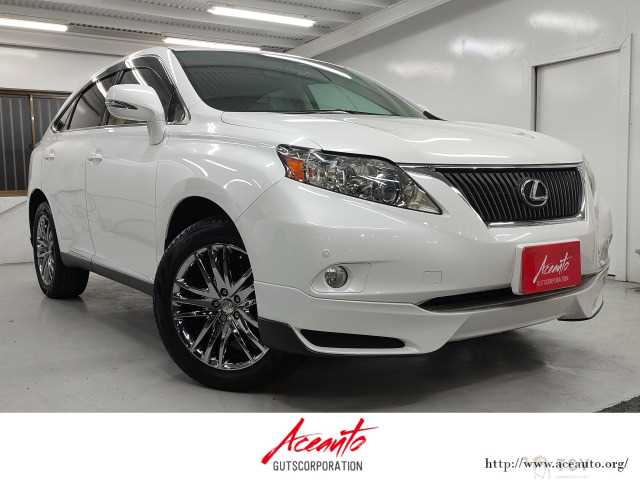 2009 Lexus RX