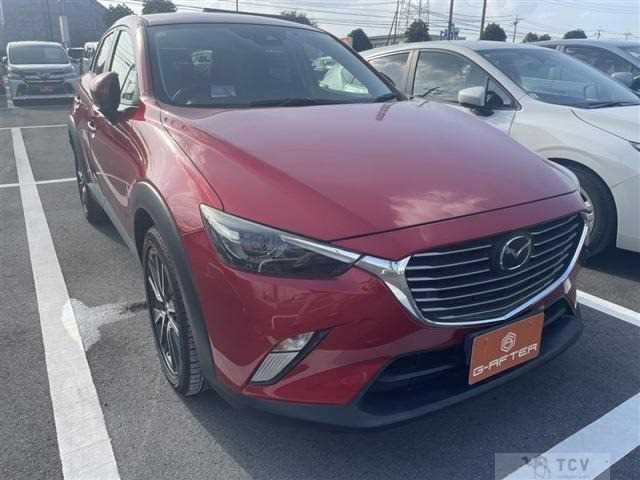 2017 Other All Other All