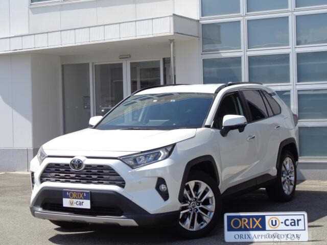 2019 Toyota RAV4