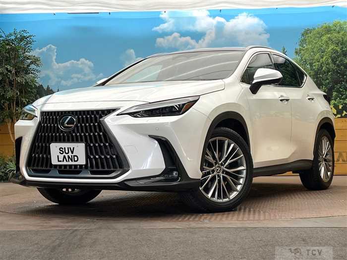 2023 Lexus NX