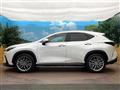 2023 Lexus NX