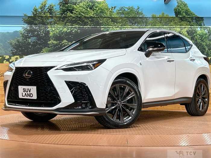 2022 Lexus NX