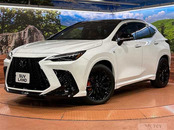 2023 Lexus NX
