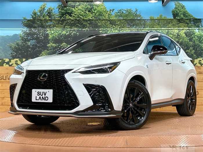 2023 Lexus NX