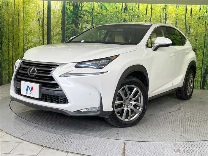 2016 Lexus NX