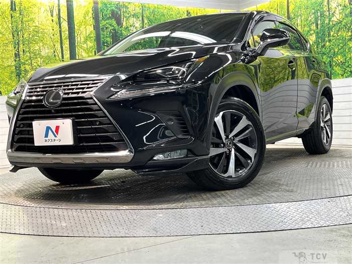 2019 Lexus NX