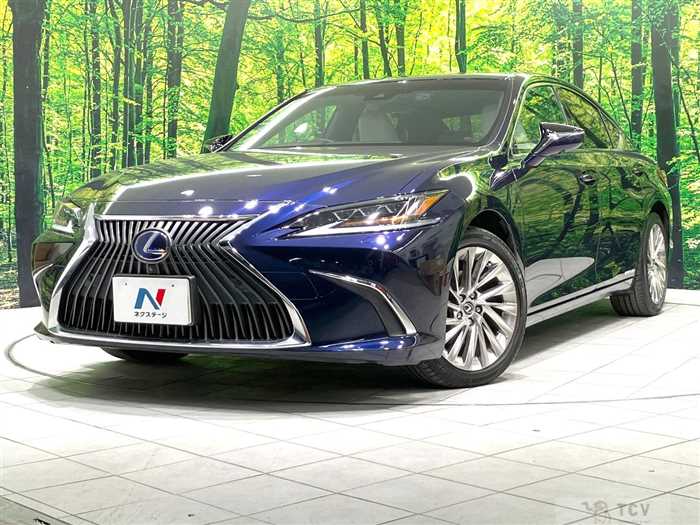 2019 Lexus ES