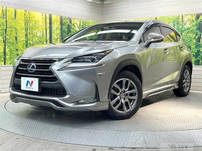 2014 Lexus NX