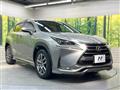2014 Lexus NX
