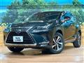 2018 Lexus NX