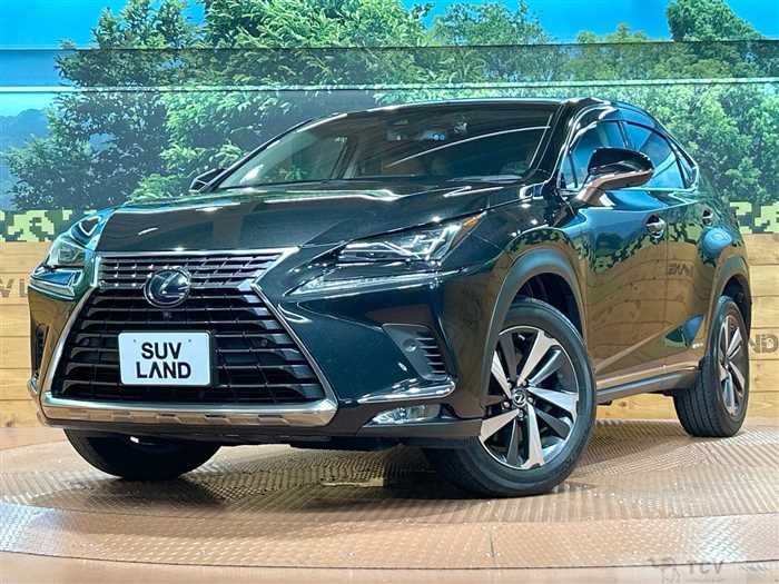 2018 Lexus NX