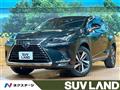 2018 Lexus NX