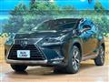 2018 Lexus NX