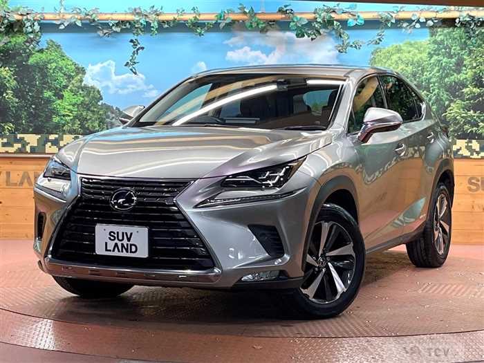 2019 Lexus NX