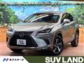 2019 Lexus NX