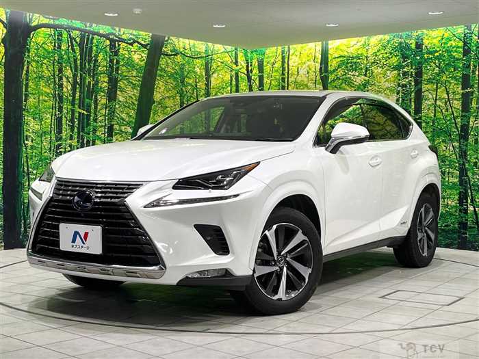 2020 Lexus NX