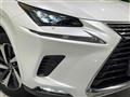2020 Lexus NX