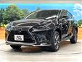 2021 Lexus NX