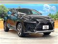 2021 Lexus NX