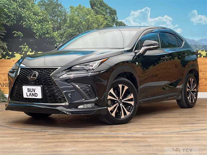 2017 Lexus NX