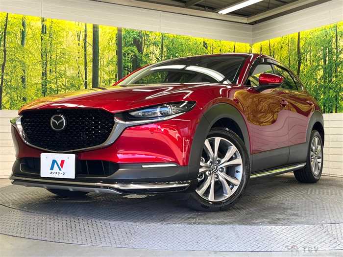 2020 Mazda Mazda Others