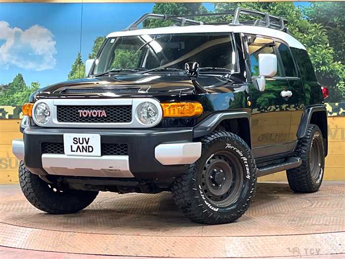 2011 Toyota FJ Cruiser
