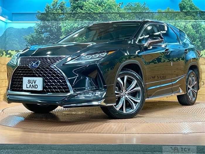 2019 Lexus RX