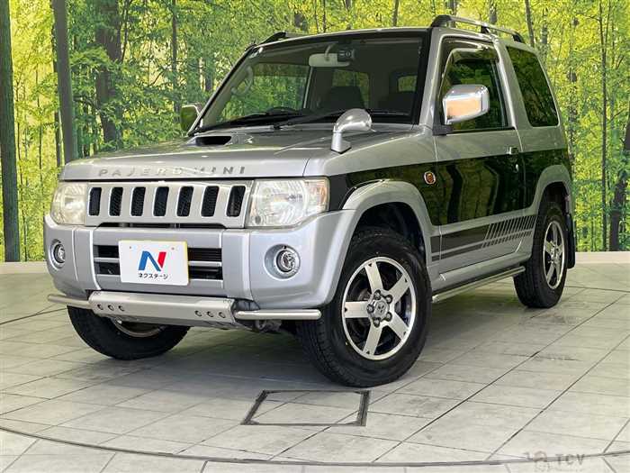 2010 Mitsubishi Pajero Mini