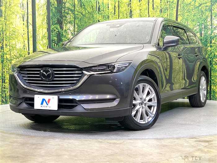 2018 Mazda CX-8