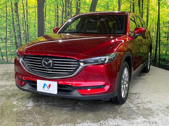2019 Mazda CX-8