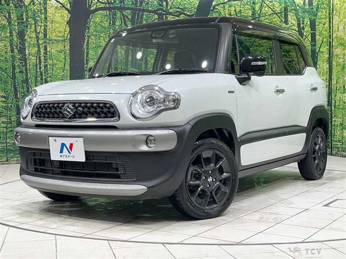 2019 Suzuki Suzuki Others