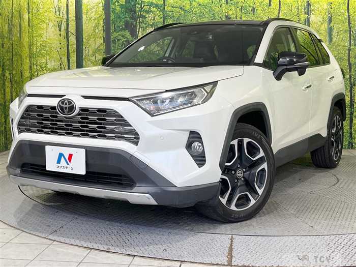 2019 Toyota RAV4