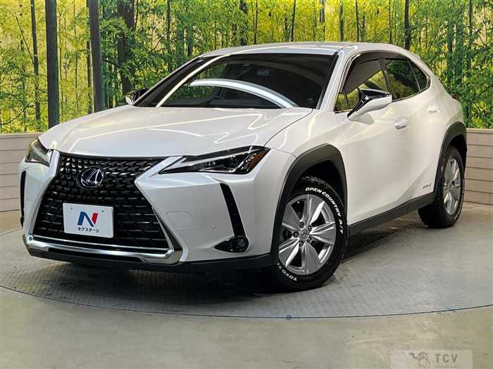 2019 Lexus Other