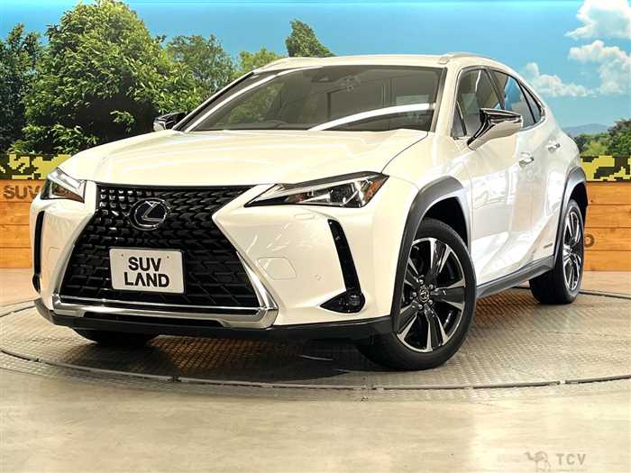 2020 Lexus Other