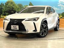 2020 Lexus Other