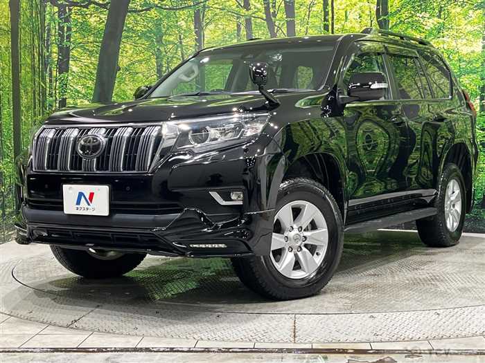 2019 Toyota Land Cruiser Prado
