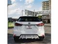 2021 Lexus RX