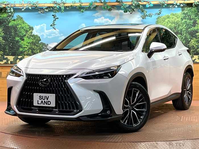 2022 Lexus NX