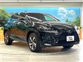2018 Lexus NX