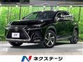 2019 Lexus NX