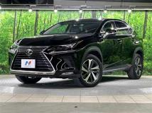 2019 Lexus NX