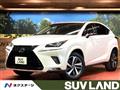 2019 Lexus NX