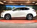 2019 Lexus NX